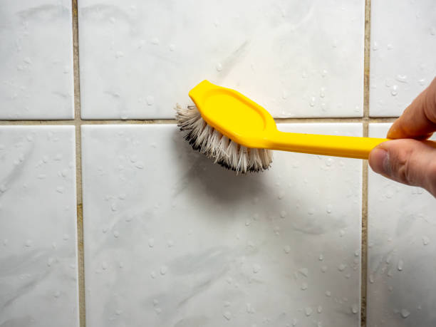Best Best Mold Removal Companies  in Plano, TX